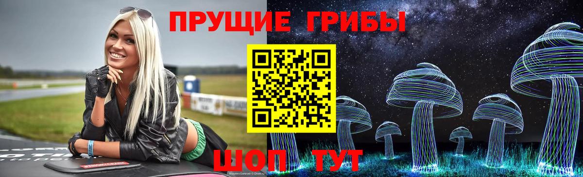 Губкинский  Галлюциногенные грибы Psilocybe  Псилоцибиновые грибы прущие грибы  Вход с VPN 
