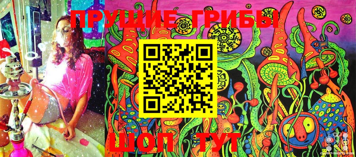 Галлюциногенные грибы Cubensis Губкинский