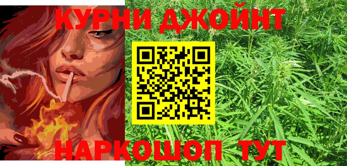 Бошки Шишки VHQ Губкинский